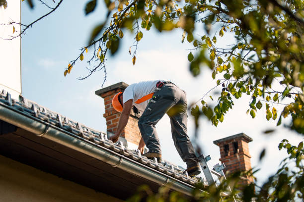 Best Chimney Flashing Repair  in Inkerman, PA