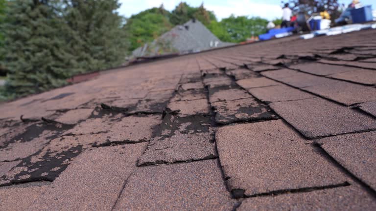 Best Emergency Roof Repair Services  in Inkerman, PA